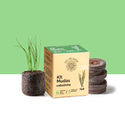 Kit Mudas | Cebolinha